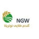گندم-طلایی-نوتریکا-