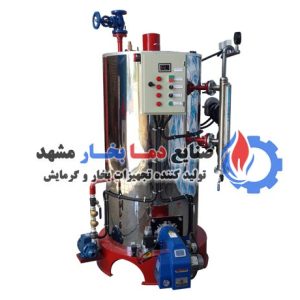 دیگ بخار عمودی کارواش 150 کیلوگرم بر ساعت 650 لیتری