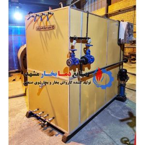 کارواش-بخار-فوری-سوپر-استیم-5000