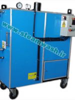 کارواش بخار فوری ژنراتوری 10 کارواش بخار صنعتی فشارقوی یک نازله